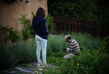 Herbs and aromatic plants in Tsagarada Pelion