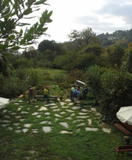 Herbs and aromatic plants in Tsagarada Pelion