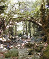 Old arched bridge, memories of an earlier era in Tsagarada