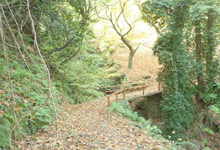 Wooden bridges are part of the route