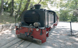 The historical steam train of Pelion