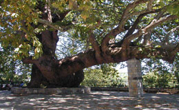 Sightseeing of Tsagarada in Pelion